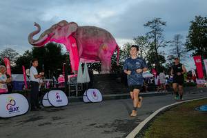 BIB: 
                            <button type="button" onclick="openModal(26529477)" class="btn btn-primary btn-sm float-right btn-popup" data-toggle="modal" data-target=".modal-high-quality">
                        <i class="fas fa-shopping-cart"></i> Add to Cart
                    </button>
                                            <button type="button" onclick="isThisMe(26529477, true)" class="btn btn-success btn-sm float-right btn-popup btn-isme hidden" data-toggle="tooltip" data-placement="bottom" title="นี่คือรูปของคุณใช่ไหม คลิกที่นี่เพื่อเอาเข้าอัลบั้ม">
                        <i class="fas fa-plus"></i> Add to album
                    </button>
                    <button type="button" onclick="isThisMe(26529477, false)" class="btn btn-warning btn-sm float-right btn-popup btn-isnotme hidden">
                        <i class="fas fa-ban"></i> Remove from album
                    </button>